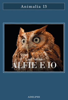 Copertina di «Alfie e io»