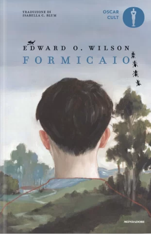 Copertina di «Formicaio»